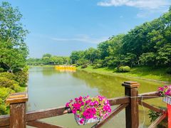 -上海海湾国家森林公园