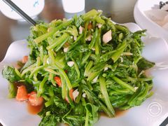 -草根堂农场