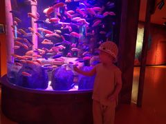 -沈阳海洋探索中心