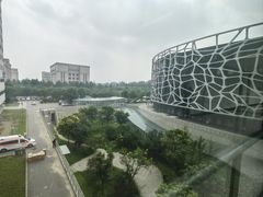 -首都医科大学附属北京天坛医院