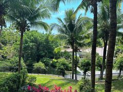 -海南清水湾莱佛士酒店