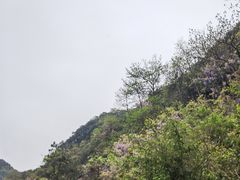 -会稽山峡洞漂流-上青古道