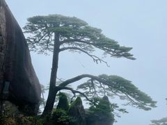 -黄山风景区