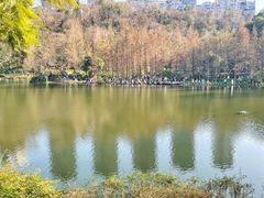 -重庆彩云湖湿地公园