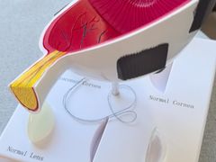 -武汉大学附属爱尔眼科医院(湖北总院)