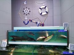 -盒马鲜生(大成店)