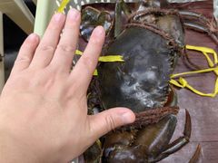 -龙海鲜螃蟹王(宏茂桥店)