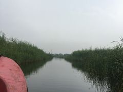 -白洋淀景区