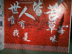 -深圳失恋博物馆再见前任(汇商名苑店)