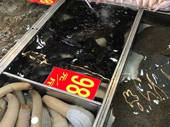 -湛江渔港·大排档(乐园路总店)