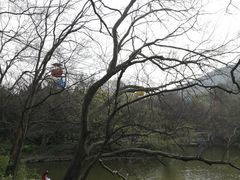 -惠山国家森林公园