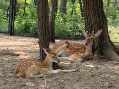 -南戴河国际娱乐中心