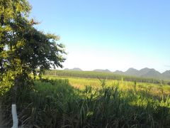 -湖南四明山国家森林公园