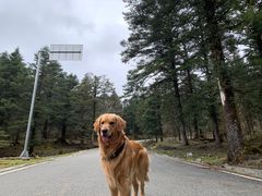 -硗碛藏寨·神木垒景区