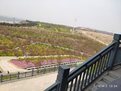 -古柏渡飞黄旅游区