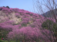 -溪口-滕头旅游景区