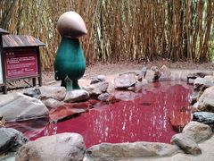 -森波拉火山温泉