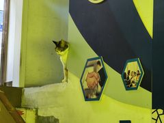 -中田健身工作室(博兴路店)