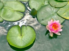 景点-西塔