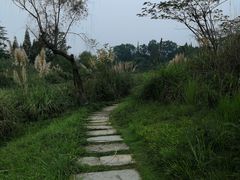 -桤木河湿地公园