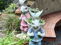 -谷咖啡·鲜花绿植花园餐厅