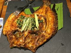 -云海肴·汽锅鸡·云南菜(天津国金汇店)