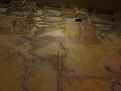 -洛阳周王城天子驾六博物馆