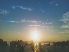 -宝安西湾红树林湿地公园