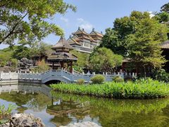 -顺峰山公园