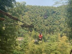 -宁波浙东大竹海景区