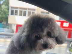 -贝康宠物医院·犬猫全科·小动物特色诊疗中心(东环路店)