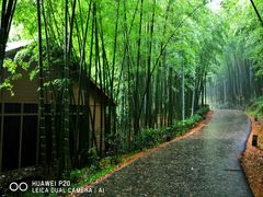 -苏州环秀晓筑养生度假村