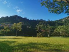 -厦门国家会计学院