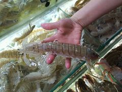 -覃记海鲜美食餐厅