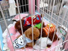 -方恒购物中心(望京小街店)