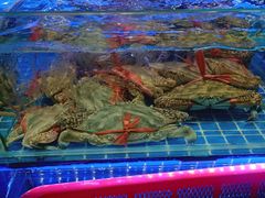 -大东海海鲜酒楼(渔人码头总店)