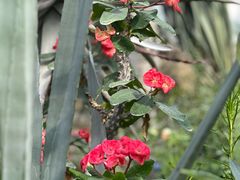 -国家植物园南园