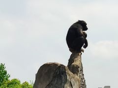 -南昌动物园