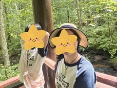 -汤旺河林海奇石景区
