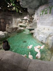 -Zoolung Zoolung动物主题公园(海信广场店)