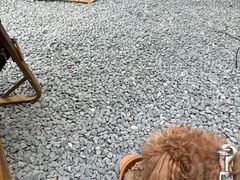 -J Create城市露营咖啡·简餐·宠物(上海动物园店)