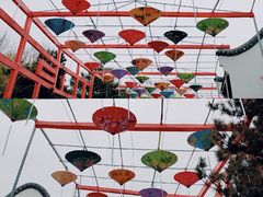 -青岛方特梦幻王国