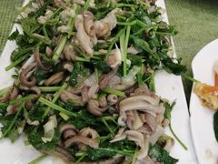 -桃子餐厅·天津菜(红星路直营店)