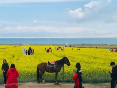 -青海湖国家重点风景名胜区