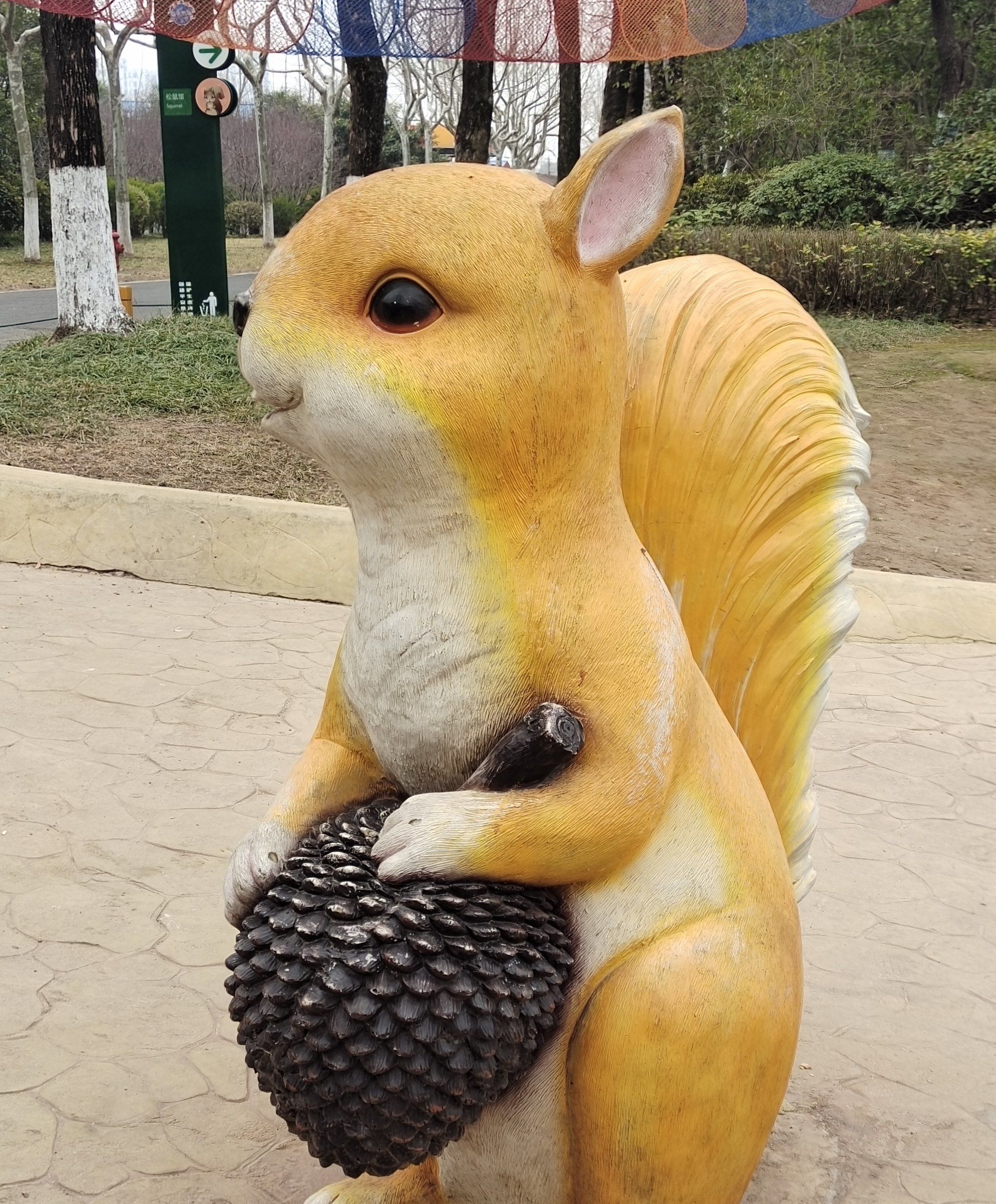 里面有着各种各式的动物有调皮捣蛋的小猴子有叽叽喳喳的鸟还有