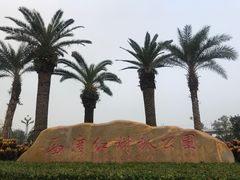 -宝安西湾红树林湿地公园