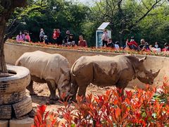 -西安秦岭野生动物园
