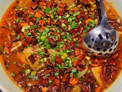 毛血旺-陈麻婆豆腐总店