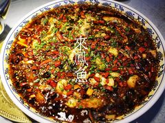 -新概念来凤鱼(璧山店)