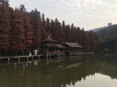 -采石矶景区